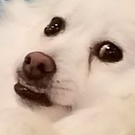 Thy