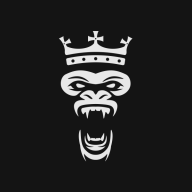 DKnights