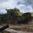 Churchill VII