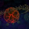 Galaxy Package | 100+ Custom Enchants | Gkits | Fallen Heroes | Outposts
