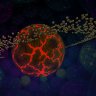 Galaxy Package | Space Flares | G.A.S | 120+ Enchantments | Gkits/Vkits